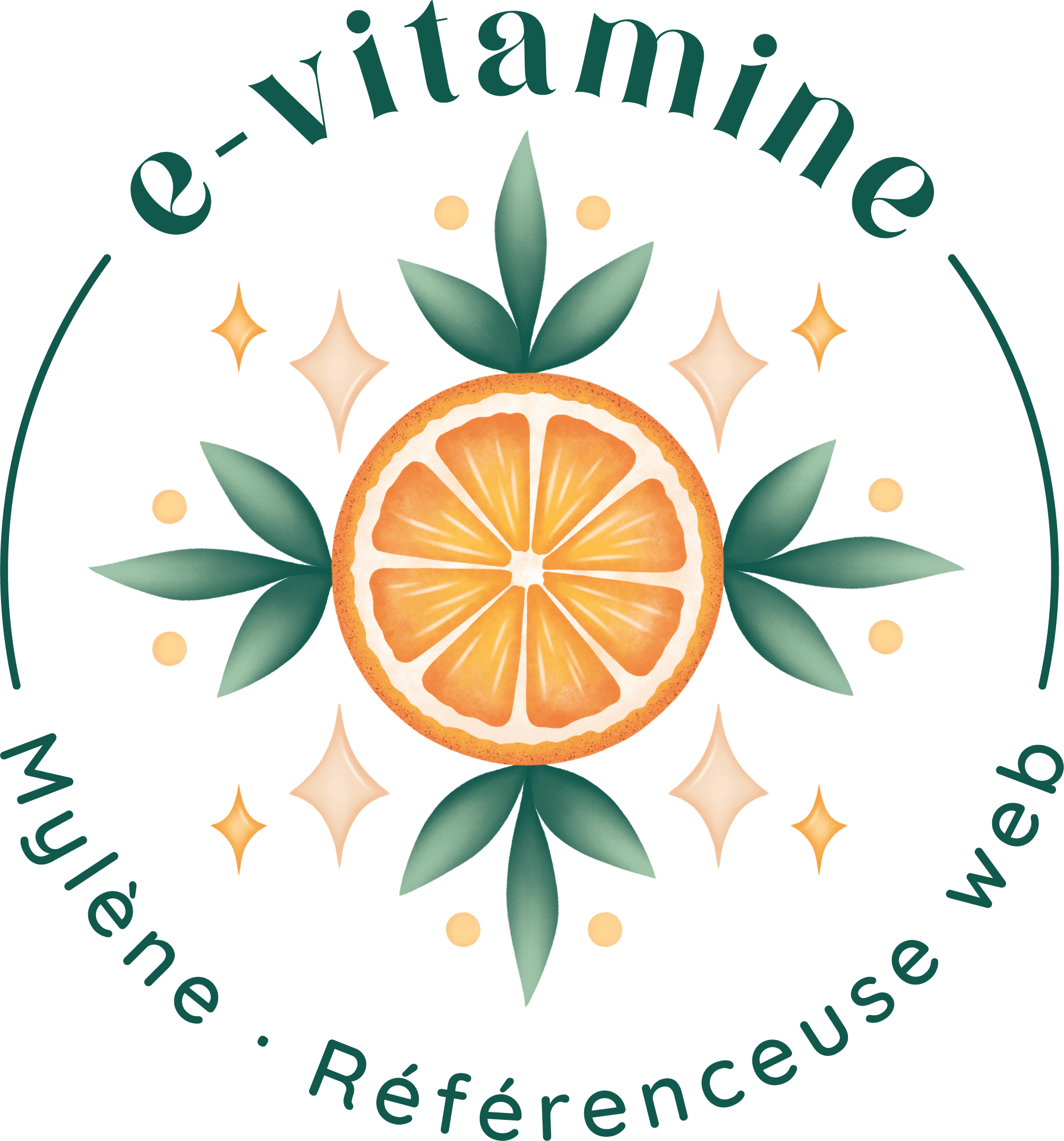 logo e-vitamine consultante seo sea alès gard 30 nimes